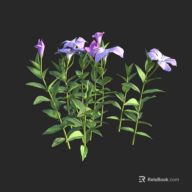 Vibrant Violet Flowers With Green Leaves And Multiple Lush Plants 3d model 