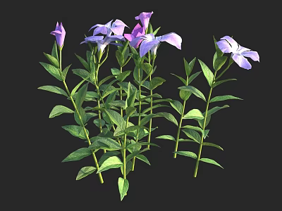 Vibrant Violet Flowers With Green Leaves And Multiple Lush Plants 3d model