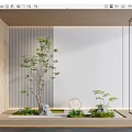 Modern Minimalist Indoor Landscape With Green Plants Natural Stones And Small Fountain