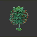 Tree Like Plant With Green Leaves And Red Strawberries On Green Base