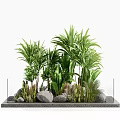 Lush Tropical Shrubs With Green Plants Stones And Elevated Gray Platform 3d model