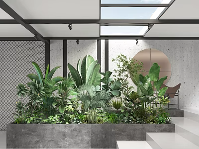 Indoor Shrubs And Large Leaf Plants In Concrete Planter With Various Greenery 3d model