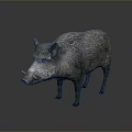 Realistic Wild Boar Sculpture In Standing Pose With Detailed Texture On Gray Background