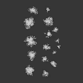 Green Plants With White Flowers In Various Sizes And Different Poses On White Background