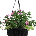 Hanging Basket Plants With Pink Flowers And Green Leaves In Wicker Planters