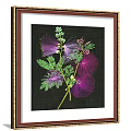 Framed Botanical Paintings With Brown Frame Gold Accent Black Background Purple Green Flowers Leaves