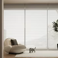 White Vertical Blinds In Modern Living Room With Sofa Cat And Plant