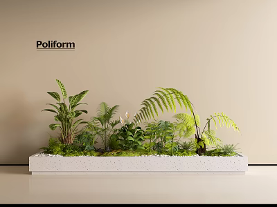 Poliform Mixed Plant Combination With Ferns Small Green Plants In White Rectangular Planter 3d model