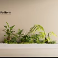 Poliform Mixed Plant Combination With Ferns Small Green Plants In White Rectangular Planter