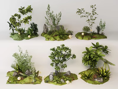 Decorative Plant Combinations With Green Ferns Shrubs Small Trees Stones And Grass 3d model