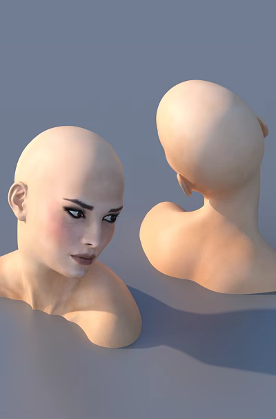Woman Head Model With Bald Look Front And Side View Displayed On Gray Background 3d model Woman Head Model With Bald Look Front And Side View Displayed On Gray Background 3d model