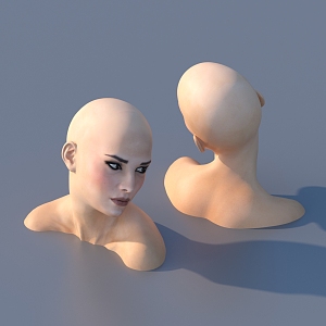 Woman Portrait 3d model