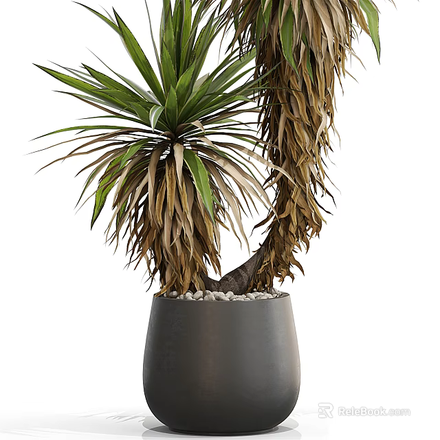 Bonsai Plant With Green And Brown Leaves In Gray Ceramic Pot With Pebbles 3d model 