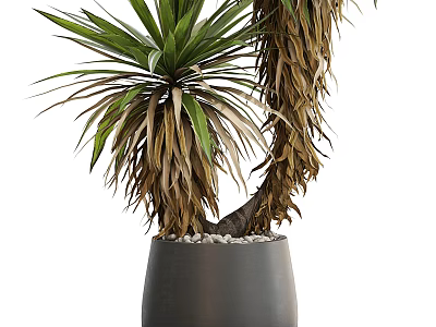 Bonsai Plant With Green And Brown Leaves In Gray Ceramic Pot With Pebbles 3d model