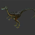 Realistic Dinosaur 3D Model With Detailed Skin Sharp Teeth And Long Tail Standing Pose