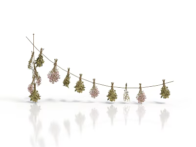 Decorative Plant Decorations Hanging On String With Green And Pink Small Trees And Flower Ornaments 3d model