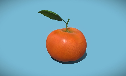 Orange Fruit Sugar Orange 3d model