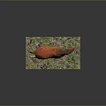 3D Orange Spotted Animal Model Standing On Mossy Platform With Green Fern