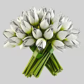 Fresh White Tulips Arranged in Transparent Glass Vase with Green Stems