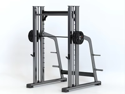 Sturdy Heavy Duty Metal Power Rack With Weight Plates For Strength Training 3d model