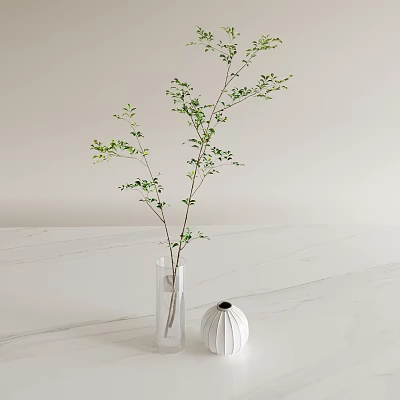 Transparent Vase With Green Leaf Branches On White Marble Countertop and Small White Domed Object 3d model