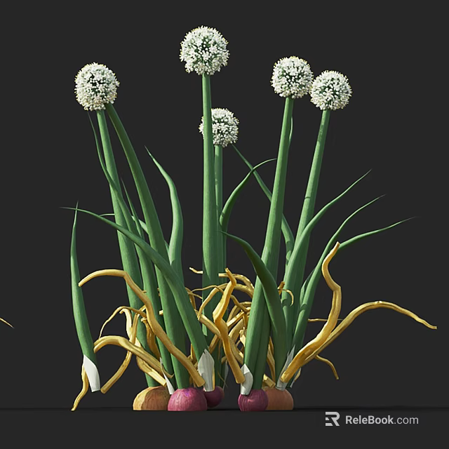 Beautiful White Spherical Flowers With Green Long Stems Yellow Curly Leaves In Decorative Vase Arrangement 3d model 