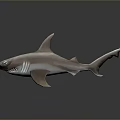 3D Rendered Pink And White Hammerhead Shark On Dark Background With Reflection Effect
