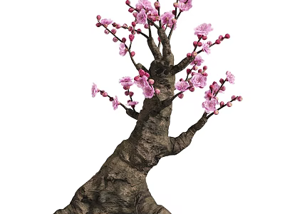 Beautiful Blooming Tree With Thick Twisted Trunk And Pink Flowers 3d model