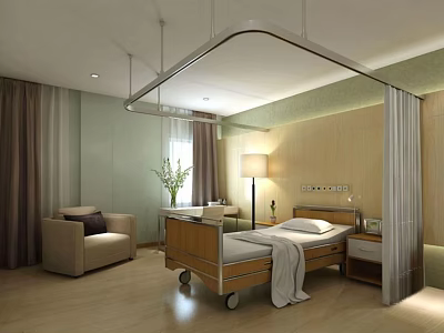 Modern Hospital Patient Room Interior With Wooden Bed Sofa And Lamp 3d model