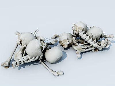 Human Skeletal Limb Bones And Skulls Scattered On Light Background 3d model