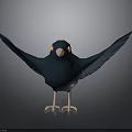 Cartoon Dark Blue Bird with Spread Wings Yellow Eyes Orange Beak Pink Claws Grey Background
