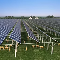 Modern Solar Panel Farm With Sheep Grazing In Green Field Under Blue Sky