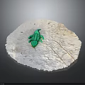Green Crocodile Toy Placed on White Irregular Edged Circular Object with Grey Background