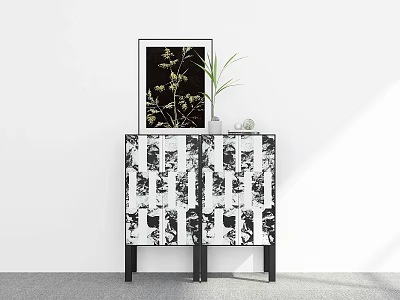 Modern Entryway Console Cabinet With Black And White Patterned Doors And Decorative Plant 3d model