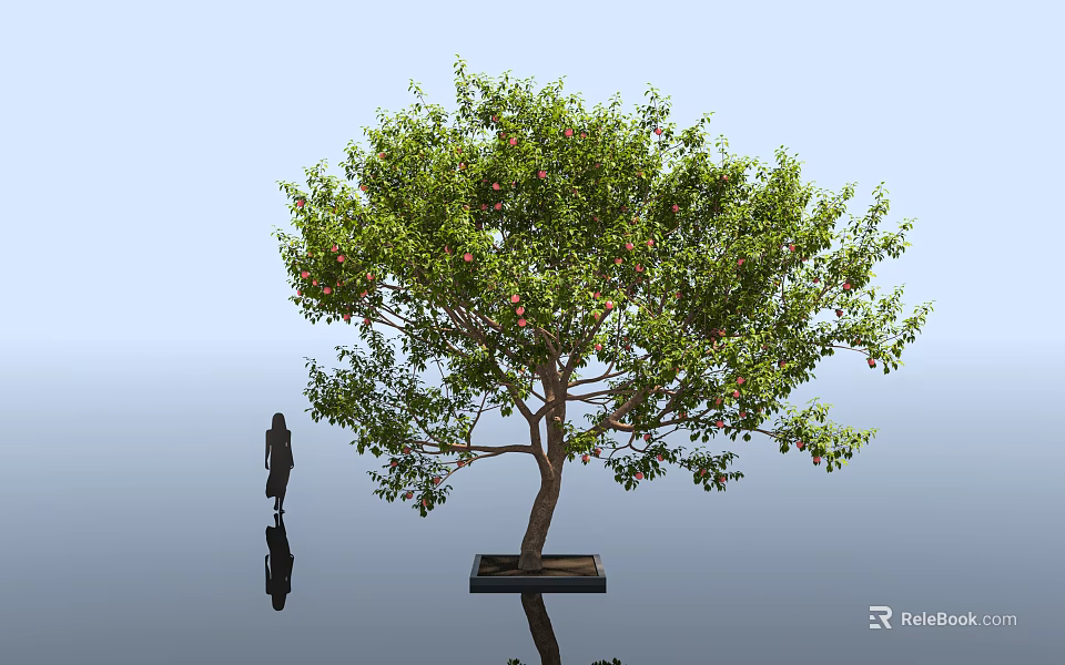 Lush Arbor With Red Fruits Square Base Human Silhouette And Reflection On Black Ground 3d model 