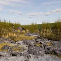 Natural Park Landscape With Rocks Tall Grass And Cloudy Sky