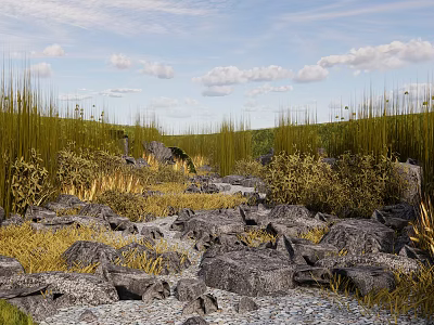 Natural Park Landscape With Rocks Tall Grass And Cloudy Sky 3d model