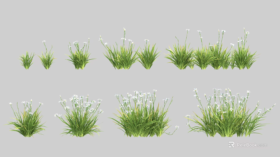 Green Ornamental Shrubs Featuring White Flowers In Various Clustered Growth Forms 3d model