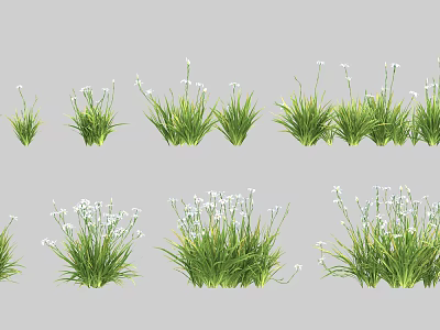 Green Ornamental Shrubs Featuring White Flowers In Various Clustered Growth Forms 3d model