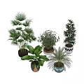 Indoor Plant Combination With Various Green Foliage And Decorative Patterned Pots 3d model