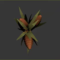 Corn Plant With Green Stem Bearing Orange Corn Cobs And Red Silk Tassels