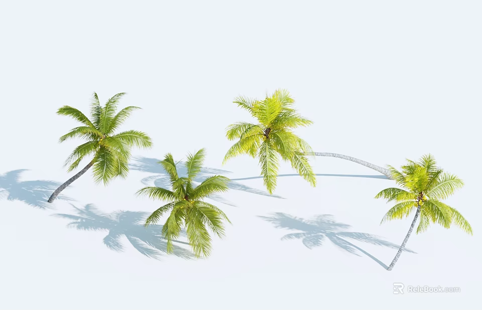 Several Green Palm Trees With Lush Fronds And Shadows On White Background 3d model 