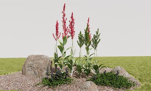 Modern Flower Veratrum 3d model