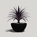 Bonsai Potted Plant with Purple Leaves in Black Pot and Small Stones