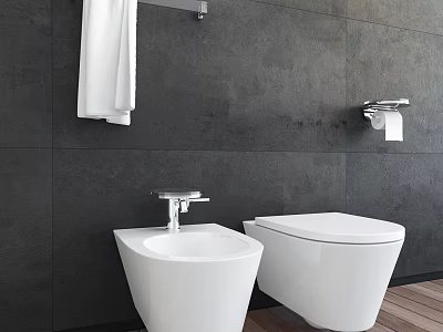 Modern White Toilet in Bathroom With Gray Wall Towel Rack And Toilet Paper Holder 3d model