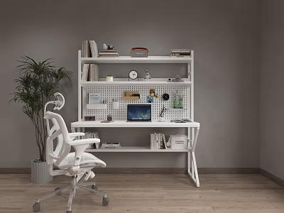 White Desk with Bookshelf Pegboard Laptop Books Decorations Ergonomic Chair and Green Plant 3d model