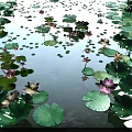 Garden Landscape Pond With Lily Pads Lotus Flowers And Swimming Fish