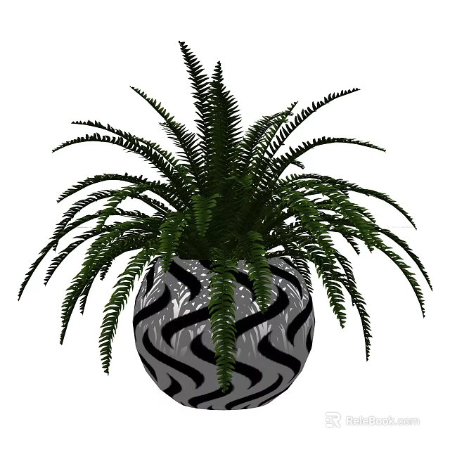 Indoor Fern Bonsai Potted Plant In Black And White Swirl Pattern Pot 3d model 