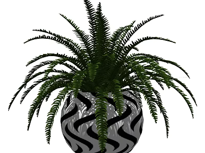 Indoor Fern Bonsai Potted Plant In Black And White Swirl Pattern Pot 3d model