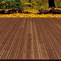 Outdoor Wooden Floor in Forest With Golden Autumn Leaves and Green Trees